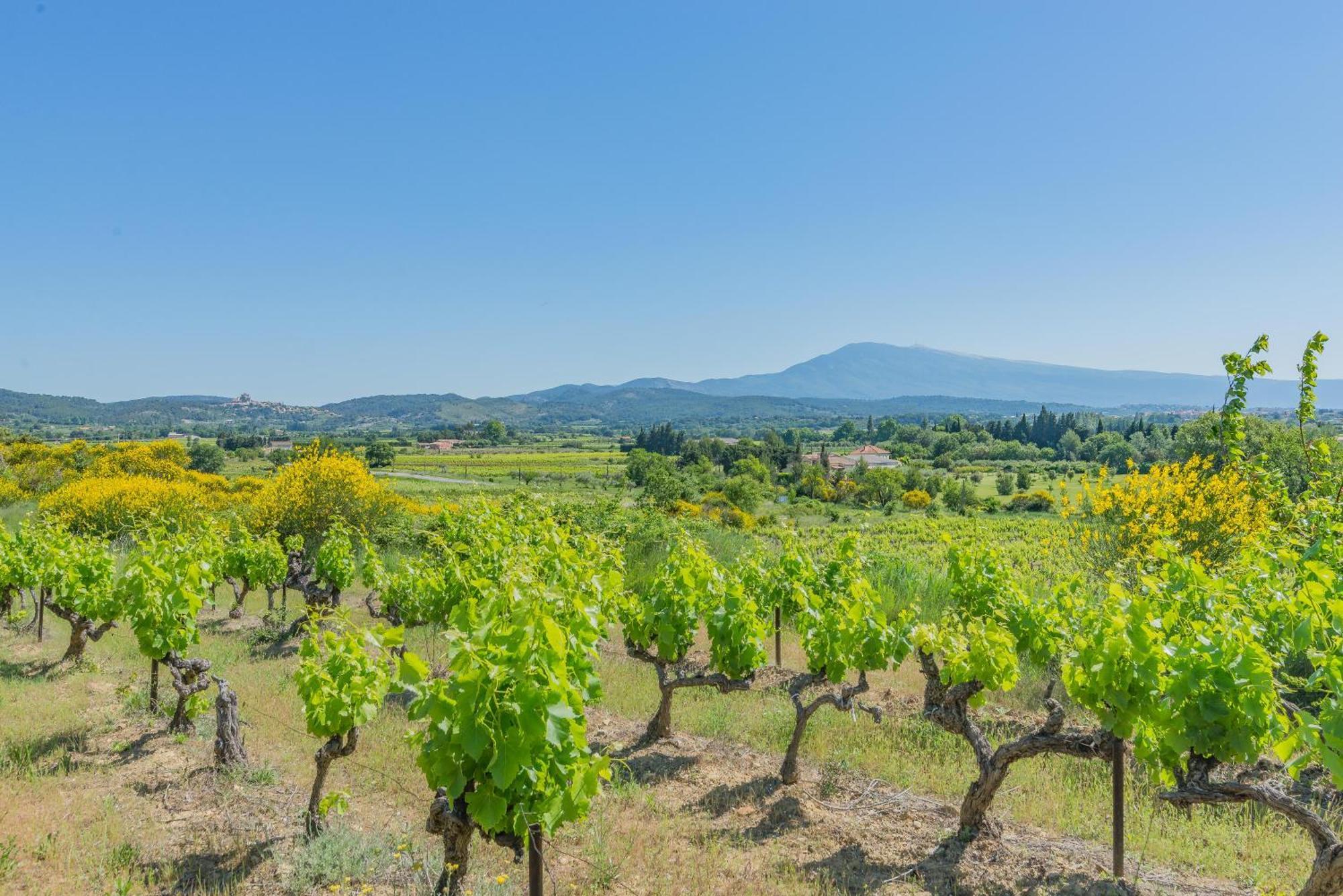 Domaine Purviti Villa Beaumes-de-Venise Luaran gambar